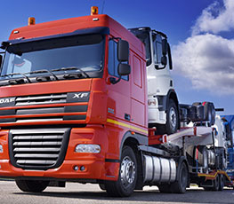 packers and movers